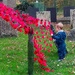 Poppies and Alfie