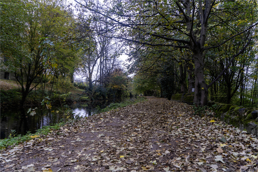 Canal Towpath by pcoulson