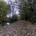 Canal Towpath