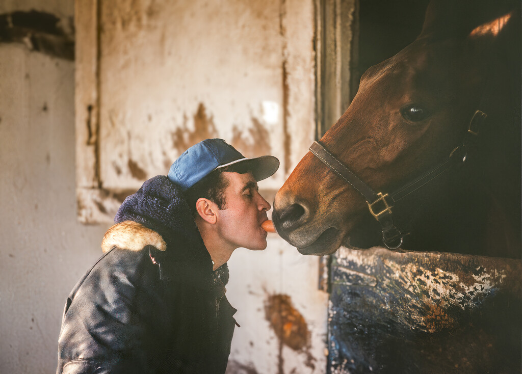 Horse and Trainer by cdcook48