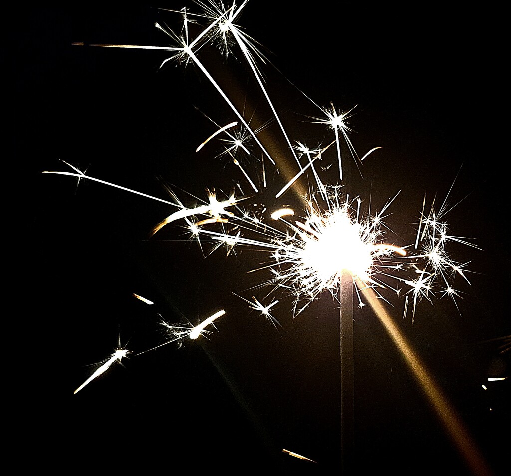 Day 310/366. Bonfire night sparkler. by fairynormal