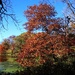 On The Trail In The Fall