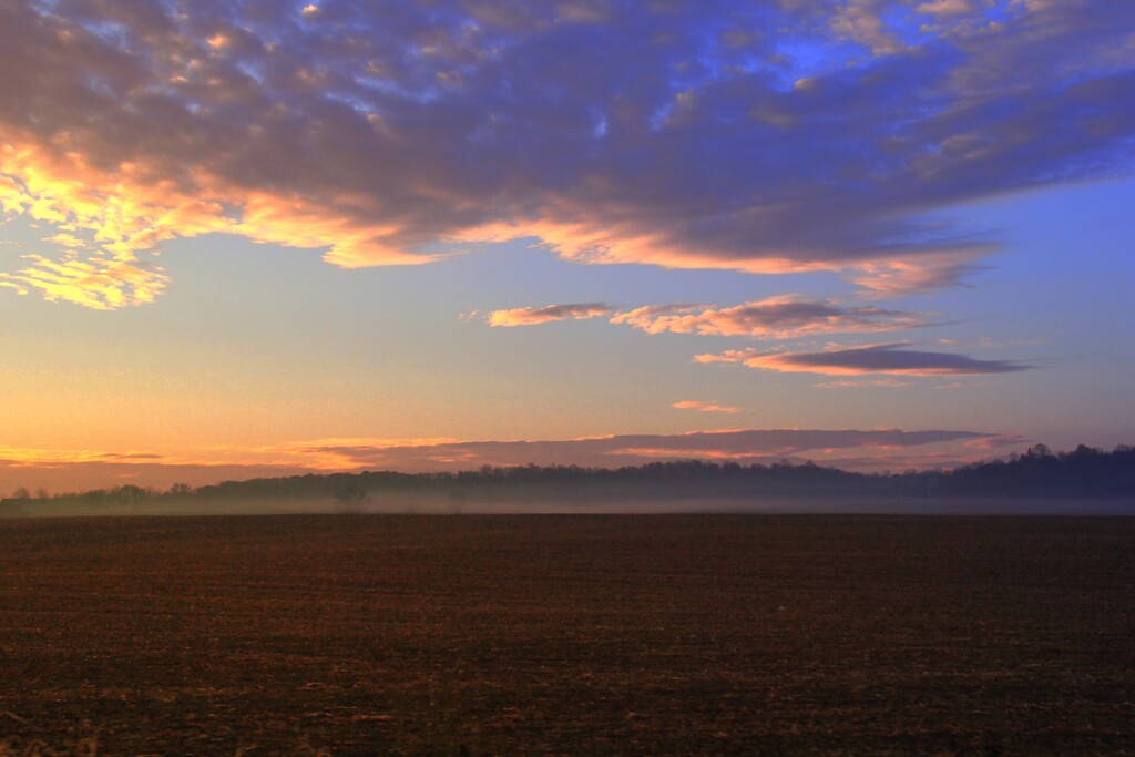 Misty Morning View  by digitalrn