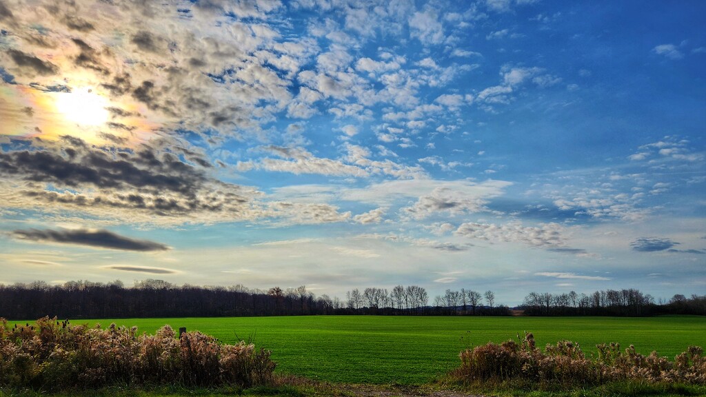 Winter Wheat by ljmanning