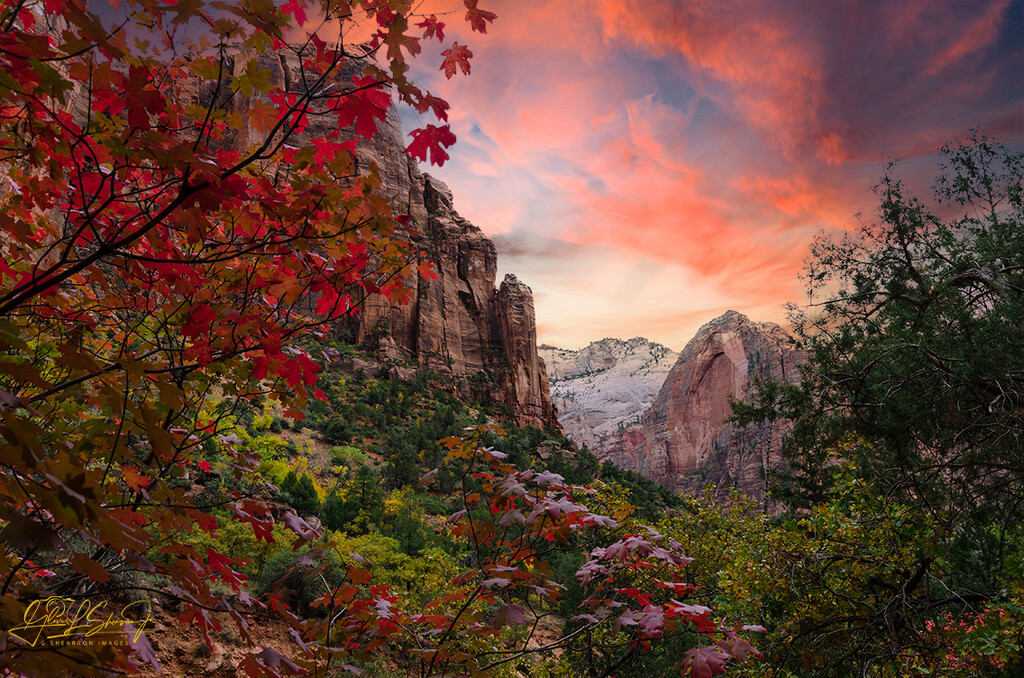 Zion National Park by ggshearron