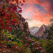 Zion National Park