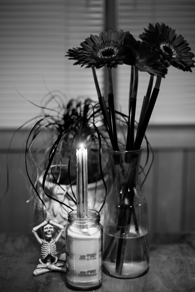 B & W Still Life by tosee