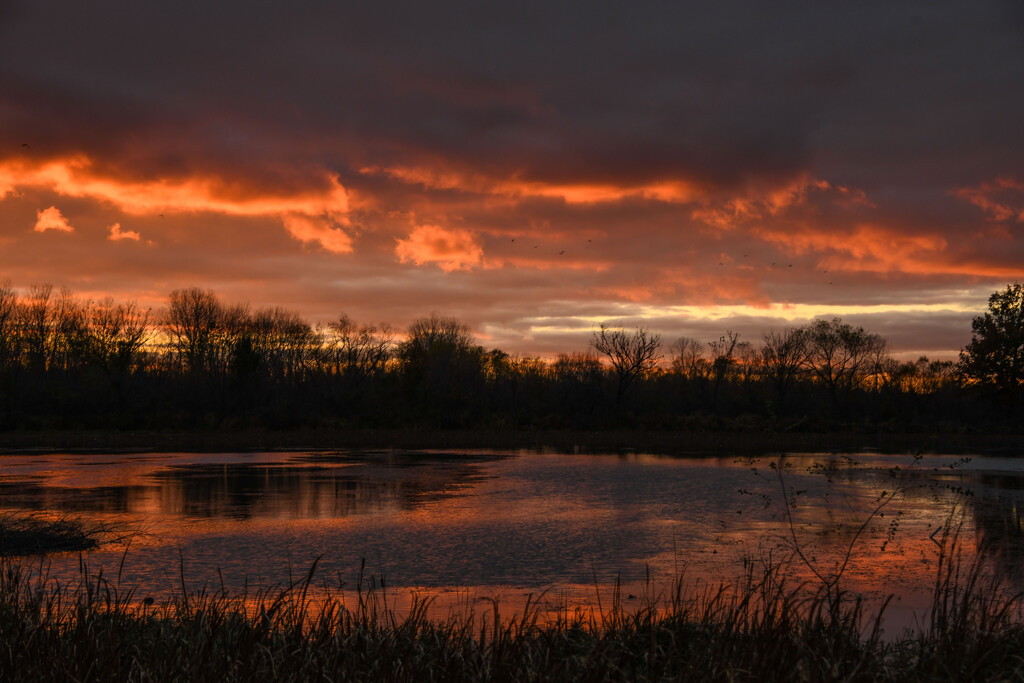 Kansas Sunset 11-6-24 by kareenking