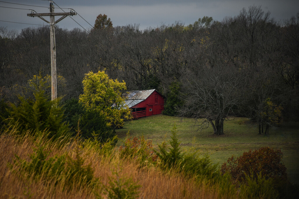 Telephone Pole by kareenking