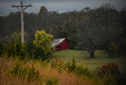 3rd Nov 2024 - Telephone Pole