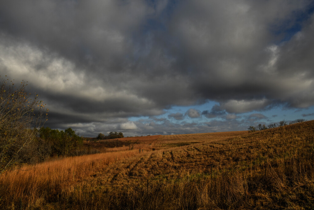 The Beauty of Dark and Light by kareenking