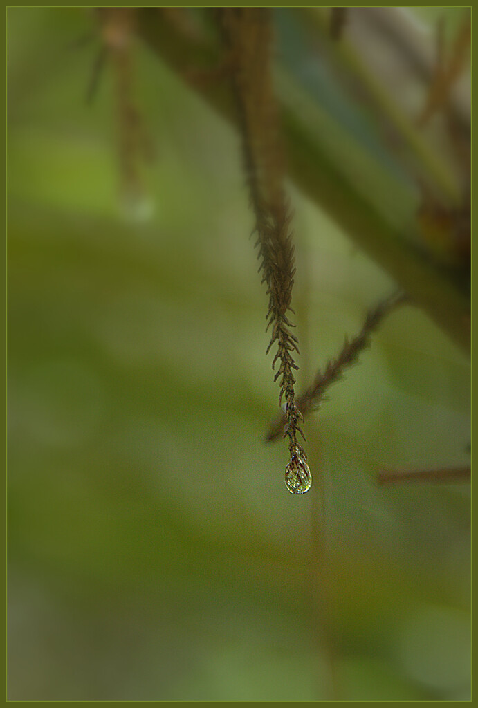 The droplet by dide