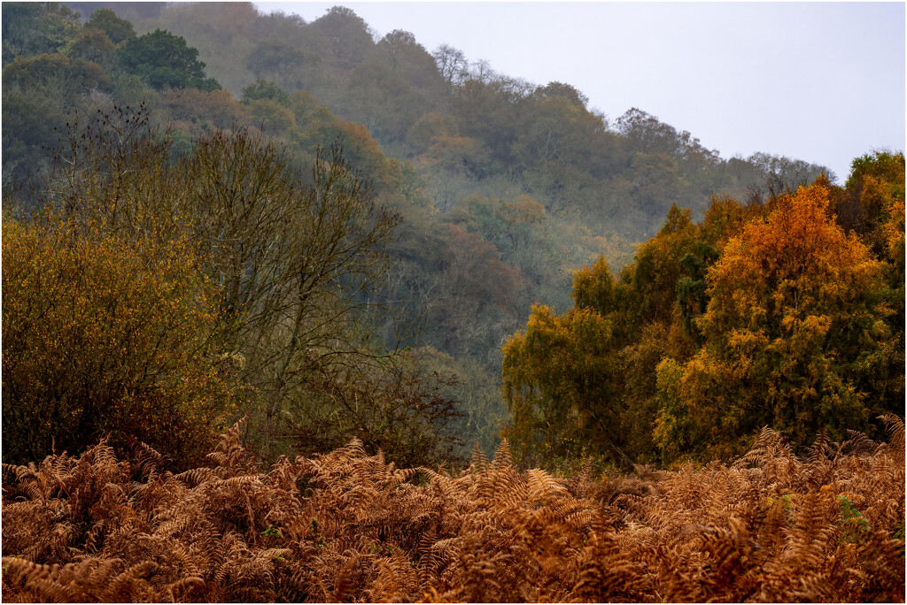 Gulet Quarry area by clifford