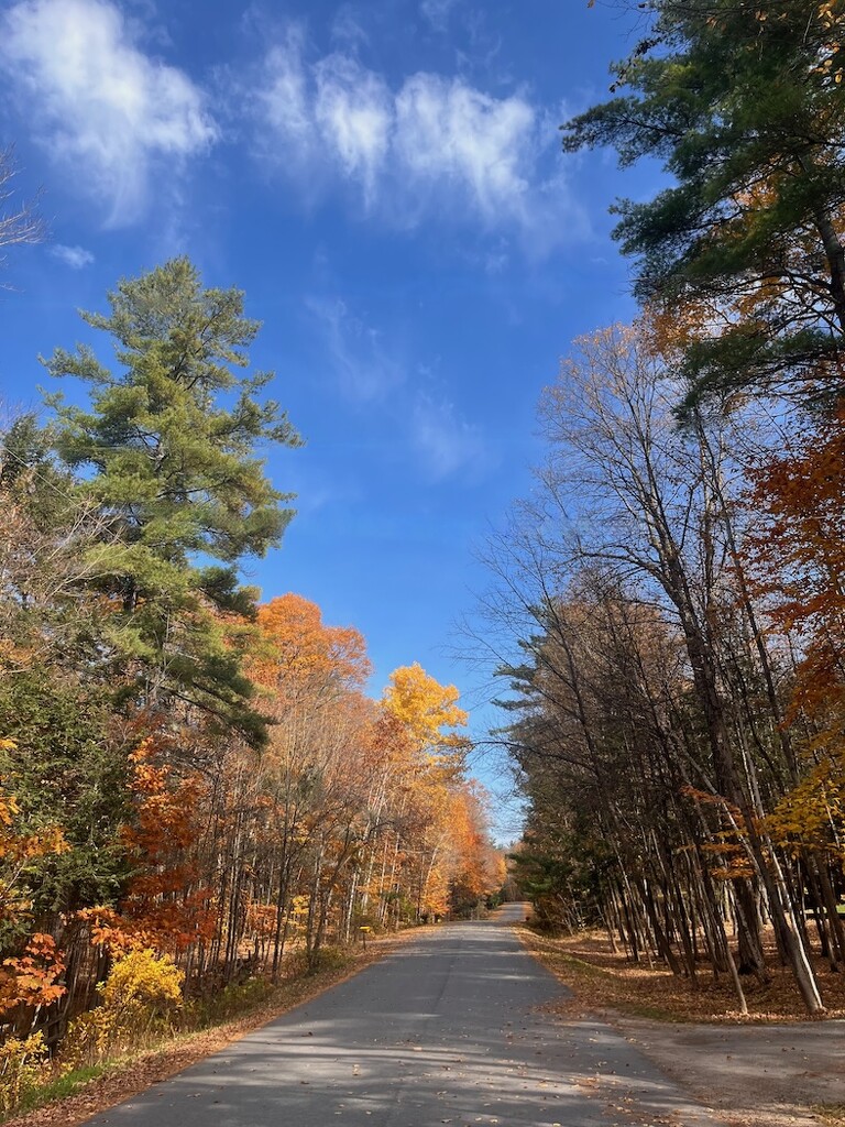 A Local Road by sunnygreenwood