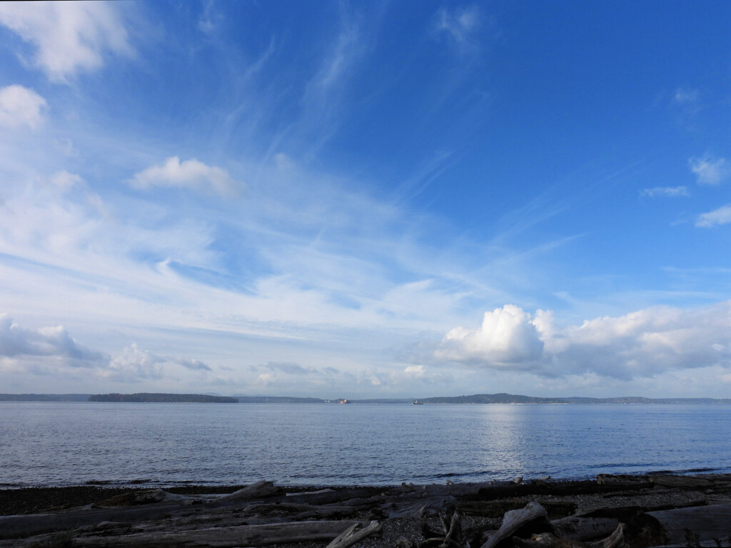 Glorious Cloudscape by seattlite