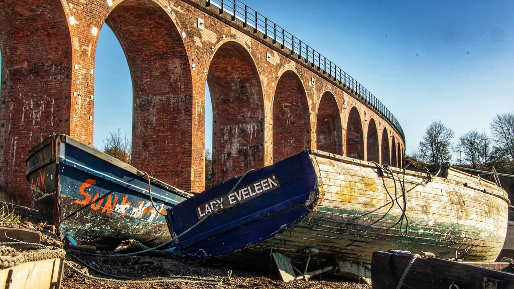 Lady Eveleen sits below the railway bridge. by billdavidson