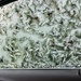 My car Window 