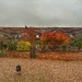 Colourful Cottages