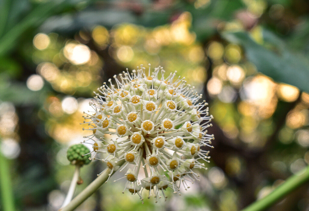 Paperplant by tiaj1402