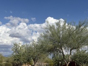 3rd Nov 2024 - 11 3 clouds and trees