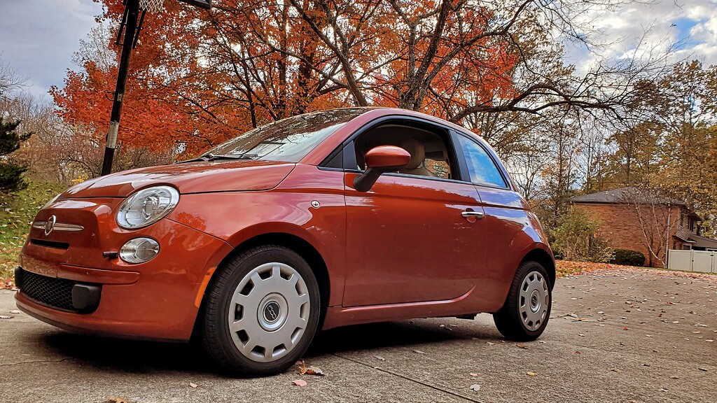 The Time of Year My Car Matches the Trees by alophoto