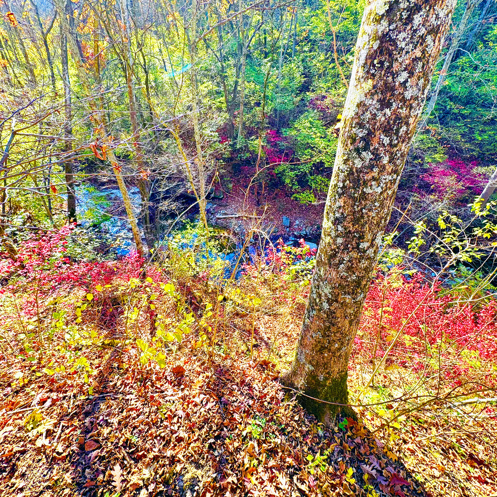 Colors Of The Nature Center by yogiw