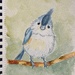 Tufted Titmouse, watercolor