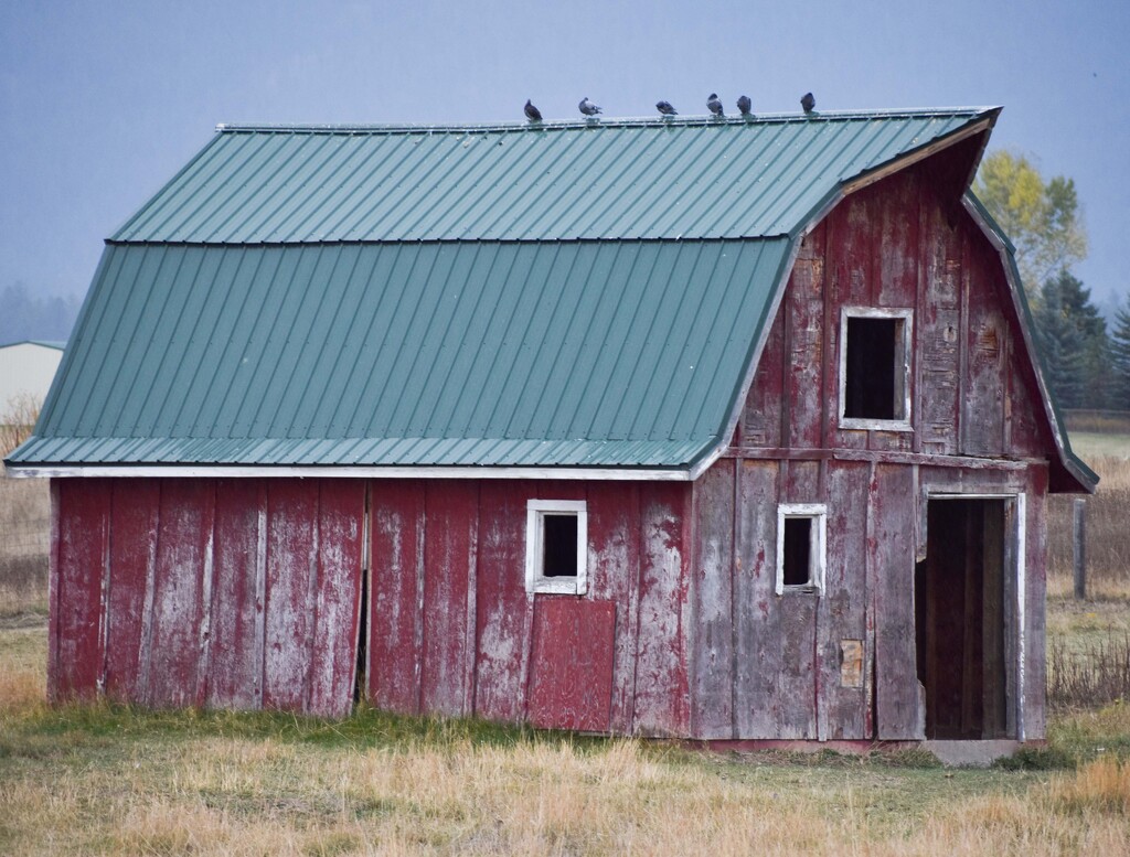 Just Another Old Barn... by bjywamer