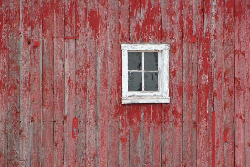 Window by edorreandresen