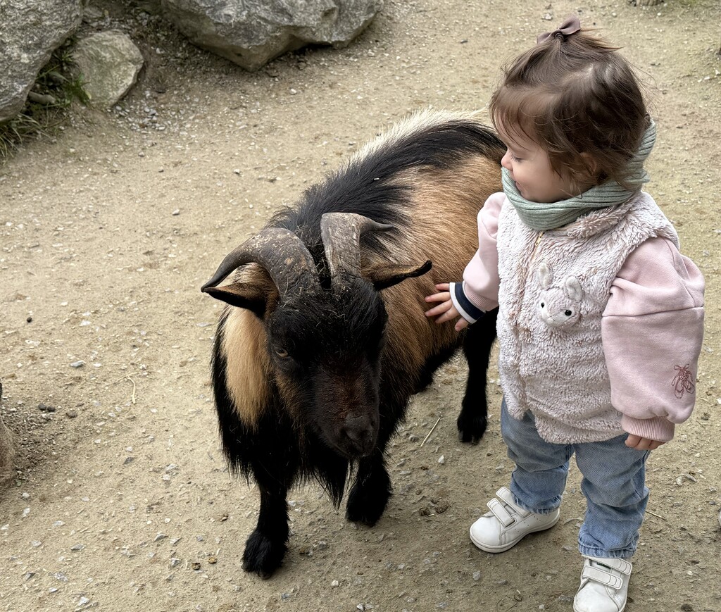 Florence & the Goat  by rensala