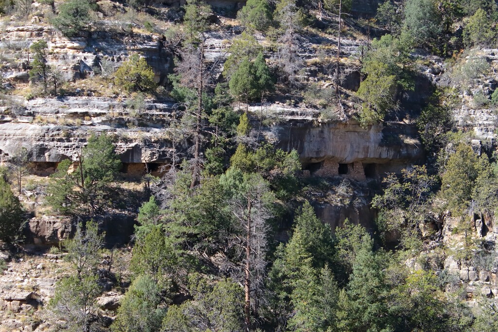 Ancient Homes by blueberry1222