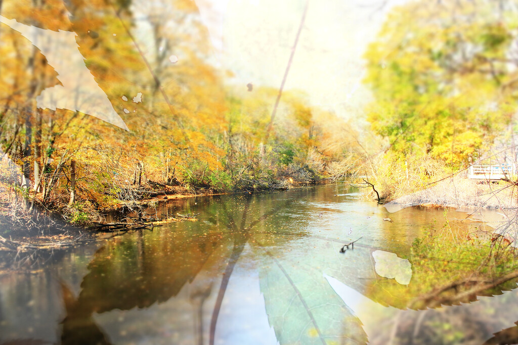 Kalamazoo River by juliedduncan