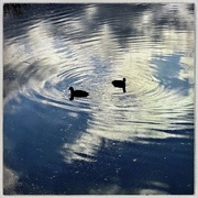 25th Oct 2024 - Cloud ripples