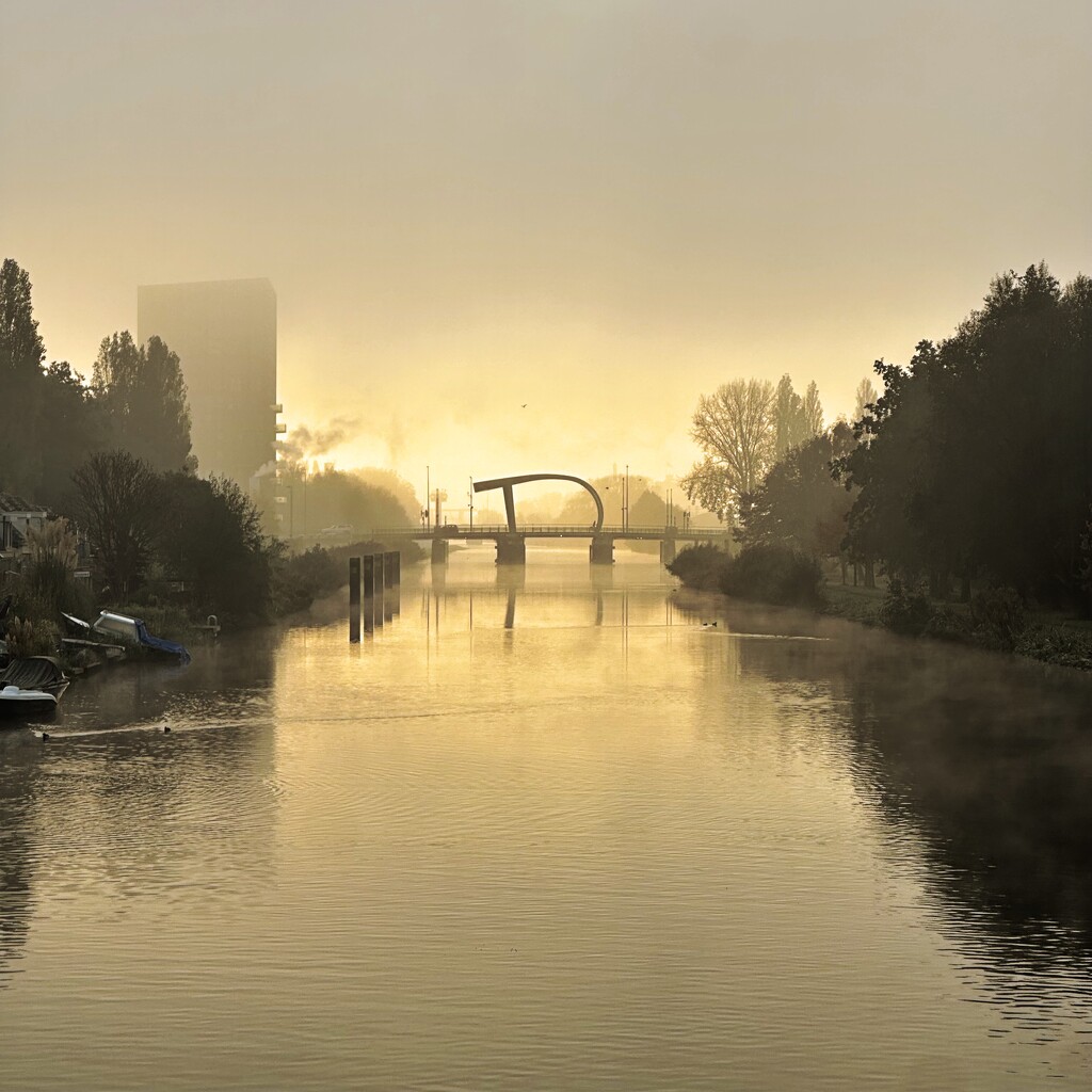 Golden hour in Overschie by mastermek