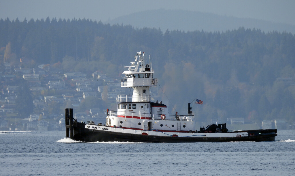 Tugboat by seattlite