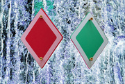 7th Nov 2024 - Trail Markers