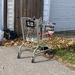 C Is for Cart (Shopping)