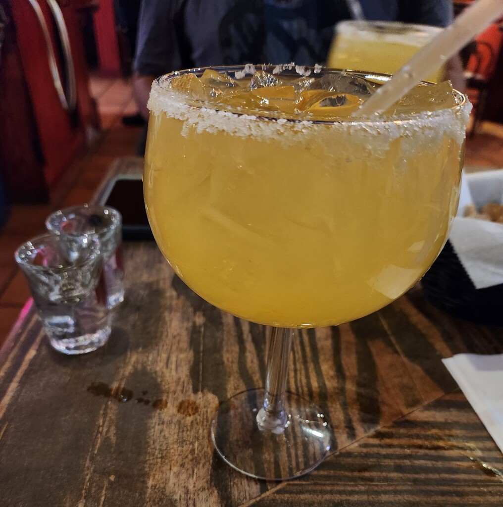 My Emotional Support Margarita by mariaostrowski