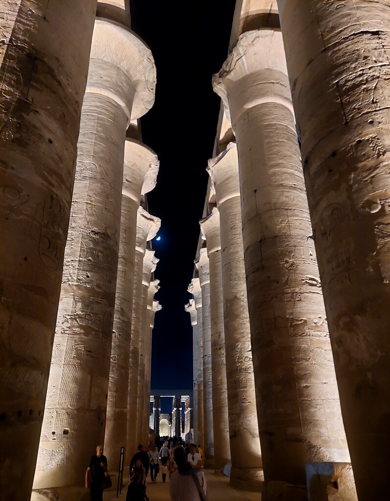 Temple at Luxor  by busylady