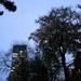 312/366 - Weston Park 