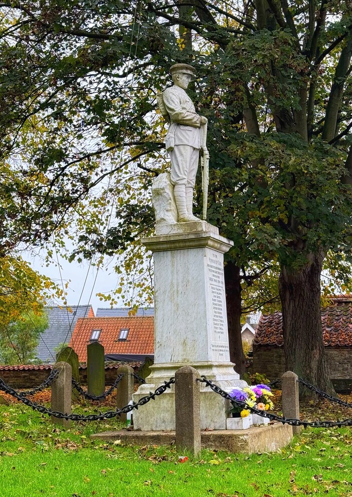 War Memorial  by carole_sandford