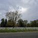 Zackery Taylor National Cemetery