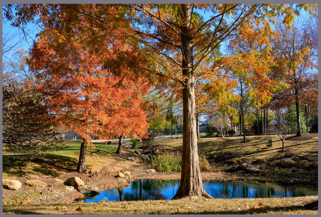 Still Autumn by hjbenson