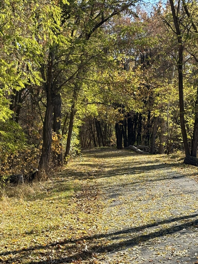 A Peaceful Walk by pirish