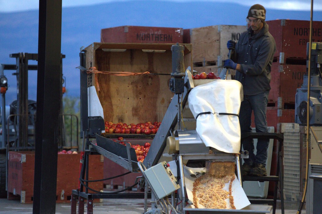 APPLE CIDER BUSY SEASON by jerzyfotos