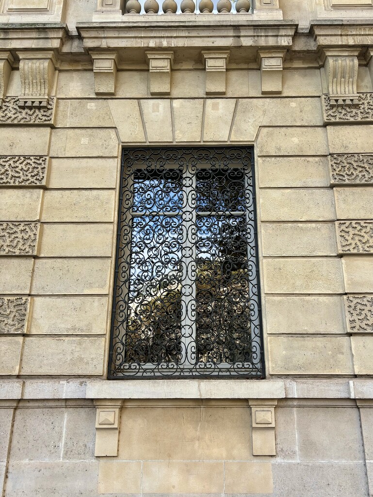 Such a pretty Lace grille, wonderful ironwork… by beverley365