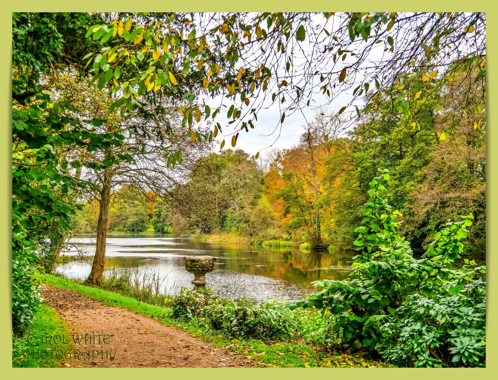 A Walk By The Lake In Autumn by carolmw