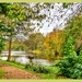 A Walk By The Lake In Autumn