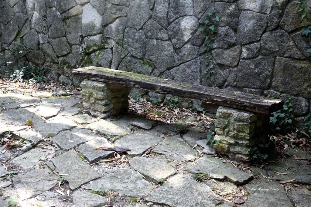 Very old bench...... by kork