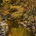 Reflections of greens and yellows